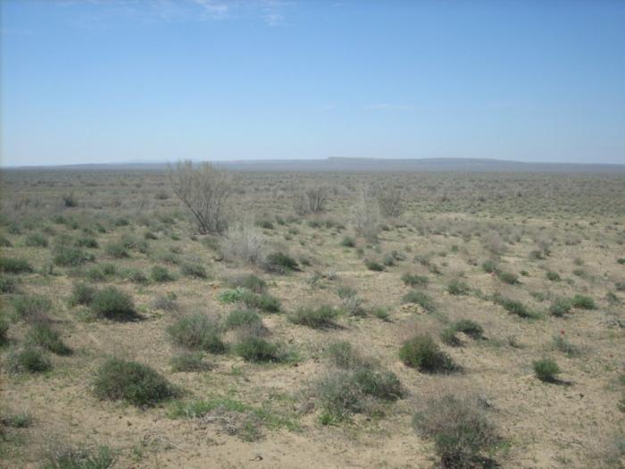 Центральные Кызылкум